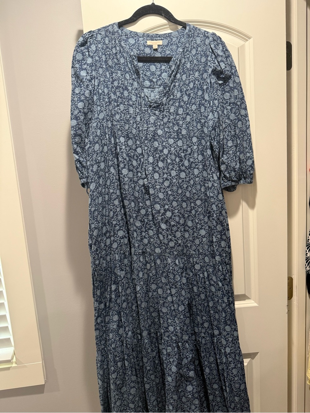 Pink Chicken Blue Floral Maxi Dress